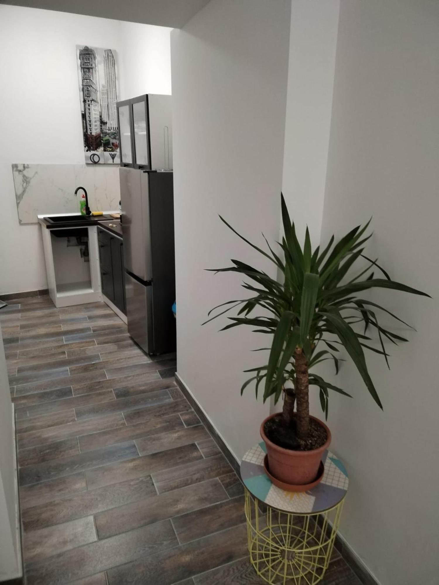 Garden In The Center Appartement Split Kamer foto